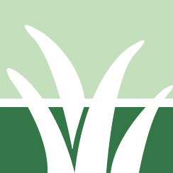 Lawn Cutting