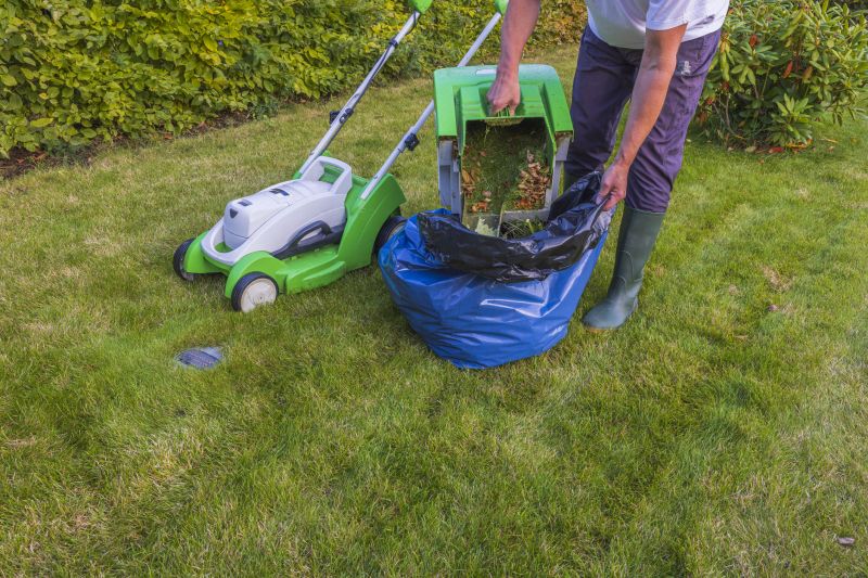 Lawn Cutting
