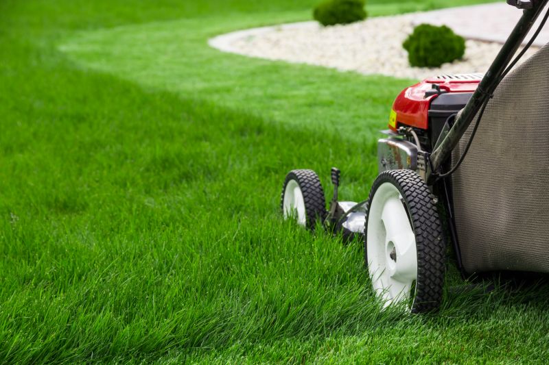 Lawn Cutting
