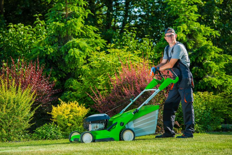 Lawn Cutting
