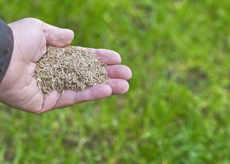 Commercial Grass Seeding in Ventura County, CA