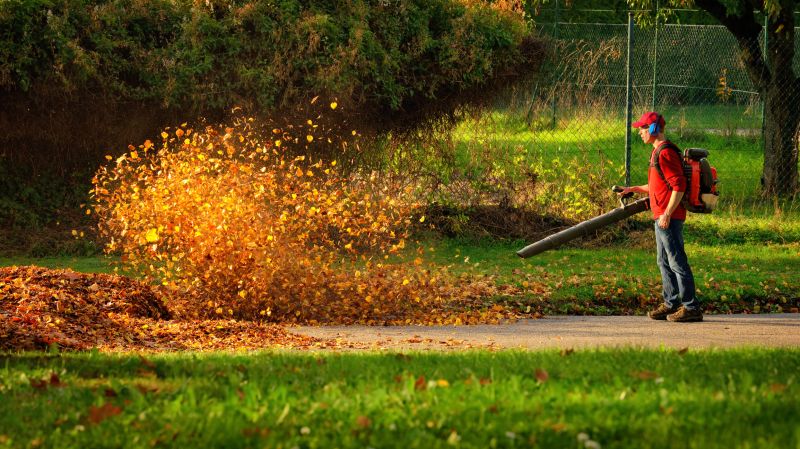 Leaf Removal Equipment in Use