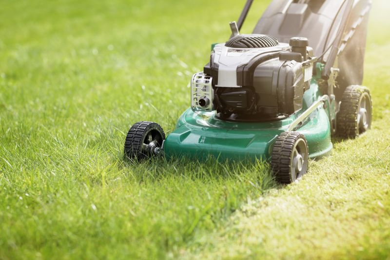Lawn Cutting