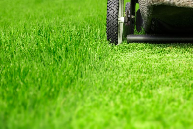 Lawn Cutting