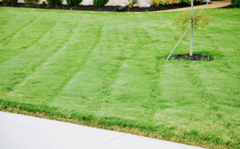 Lawn Cutting