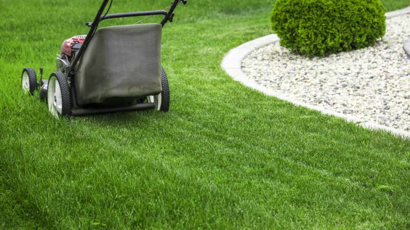 Lawn Cutting