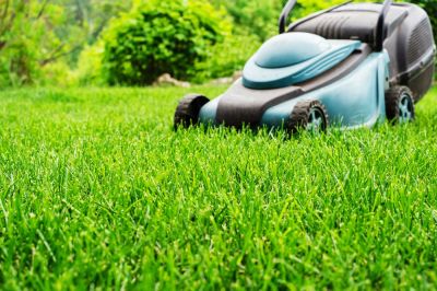 Commercial and Residential Lawn Cutting Service!