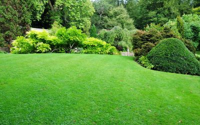 Keep Your Lawn Looking Great with Regular Lawn Mowing!