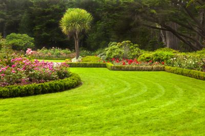 Maintain a Neat and Tidy Looking Lawn!